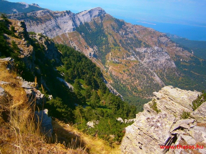 Az öreg falu, a vén platán és a folyók meséje